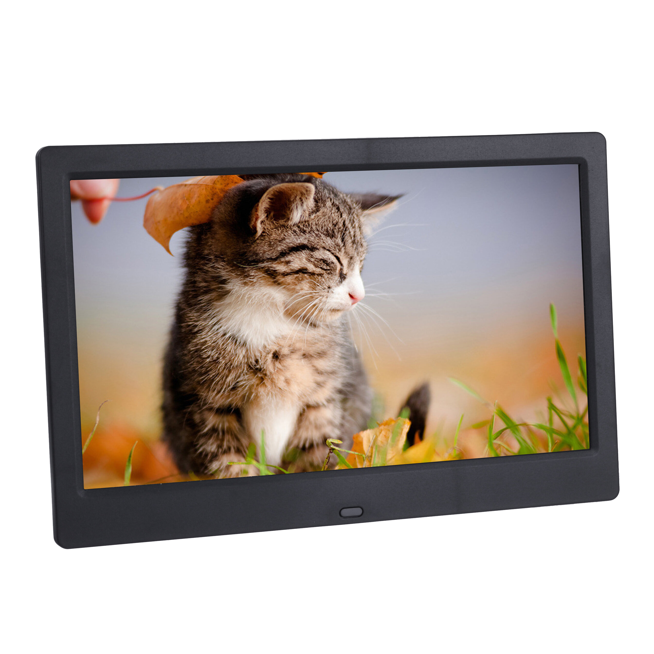 Image of 10 Inch 1024x600 HD IPS LCD Digital Photo Frame Audio Video Player Support SD USB MMC MS Card with Remote Control