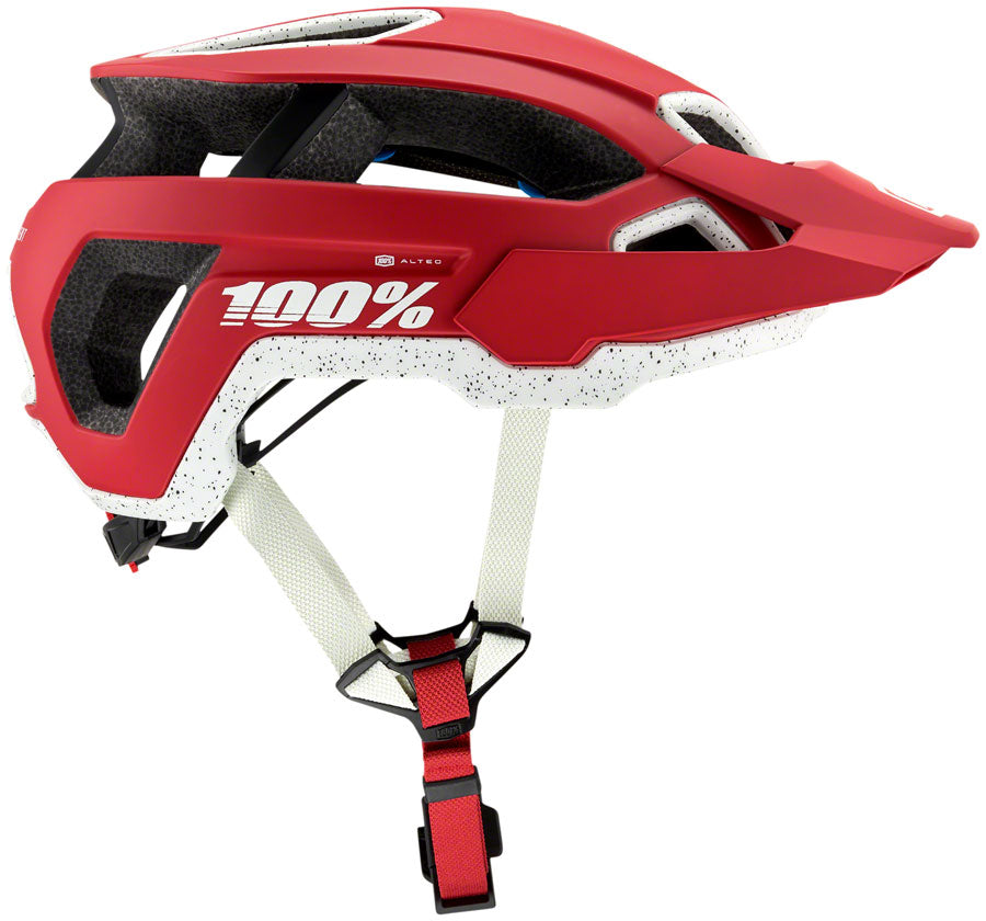 Image of 100% Altec Helmet