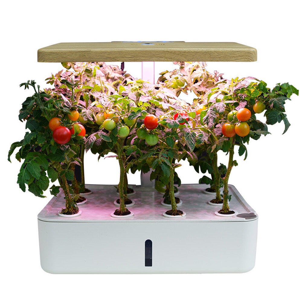 Image of 110-240V Indoor Intelligent Hydroponic Planting Box Soilless Cultivation Equipment LED Fill Light Vegetable Planting Mac