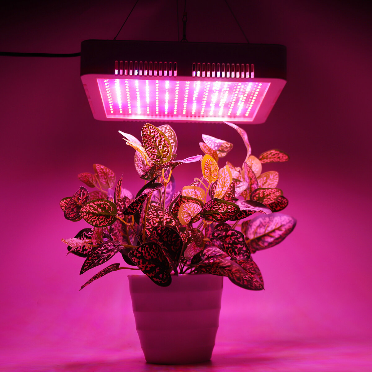 Image of 240 LEDs Plant Grow Light Veg Bloom Lamp Indoor Greenhouse Garden Full Spectrum Plant Growth Light