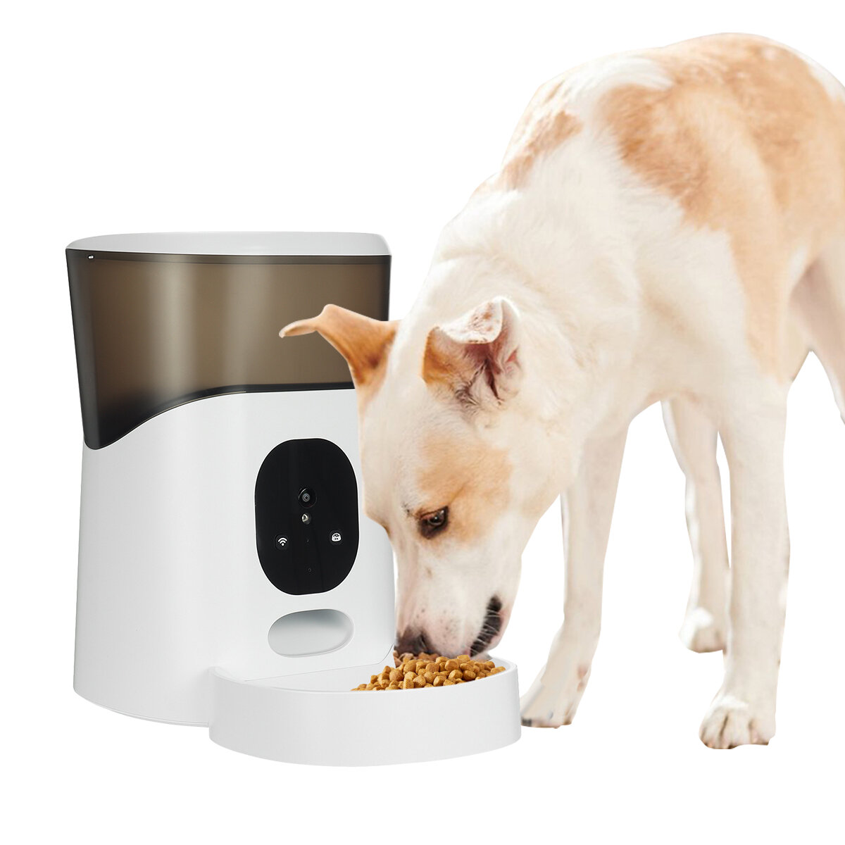 Image of 5L Automatic Pet Feeder Timing Recording Voice APP control Intelligent Dog Feeding Cat Bowls Puppy Supplies