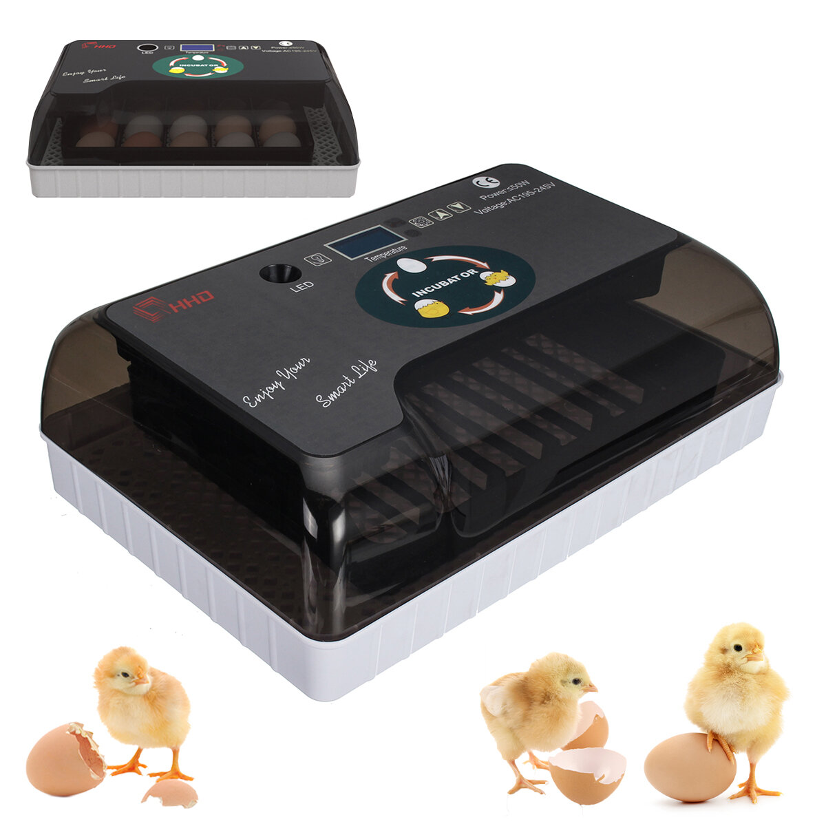 Image of AC 110-220V 20 Eggs Incubator Hatching Chicks Fully Automatic Poultry Hatching Machine Egg Turn