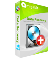Image of AVT000 Amigabit Data Recovery Pro ID 4612442
