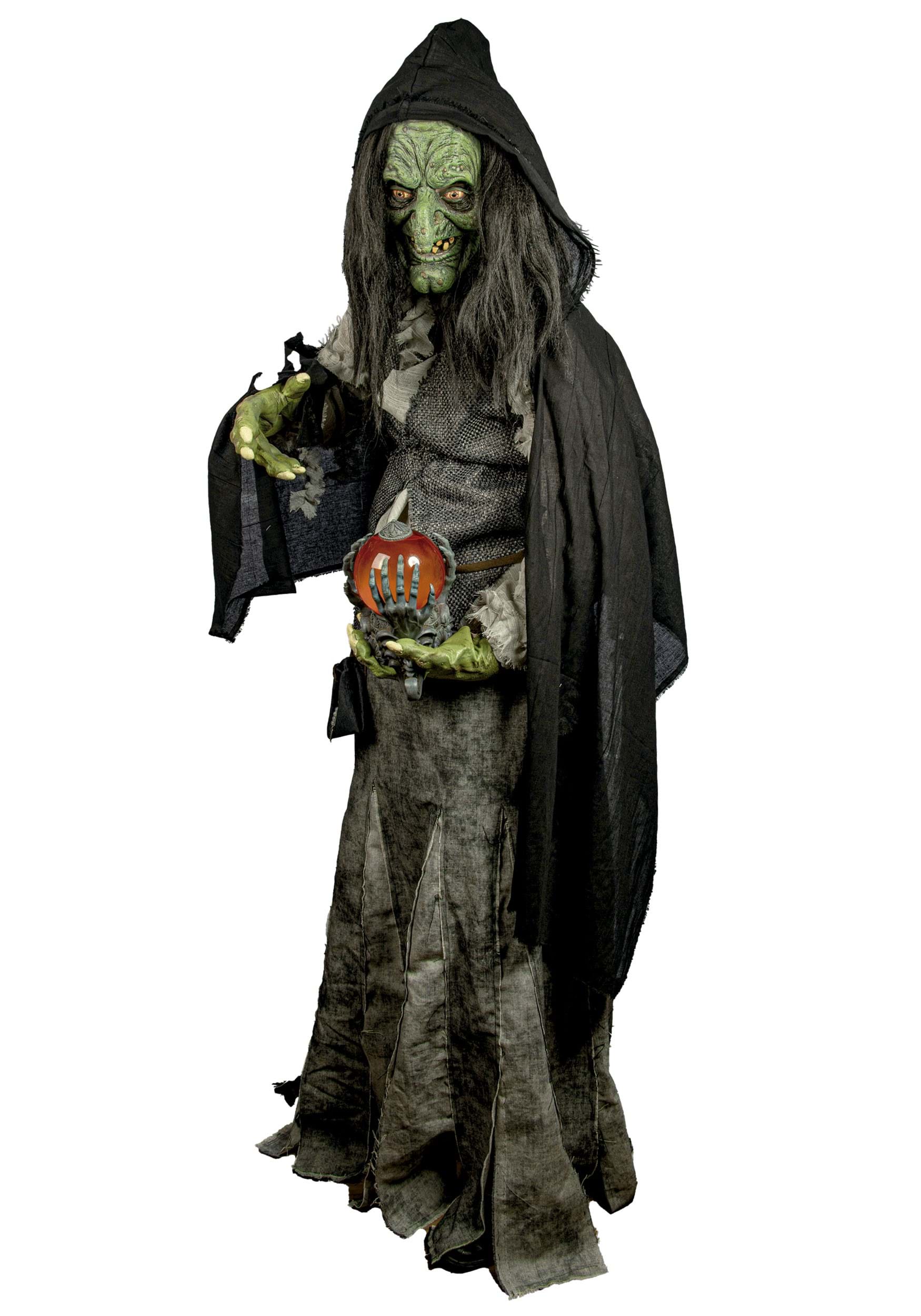 Image of Adult Premium Evil Green Witch Costume | Scary Witch Costumes ID FUN7557AD-L/XL