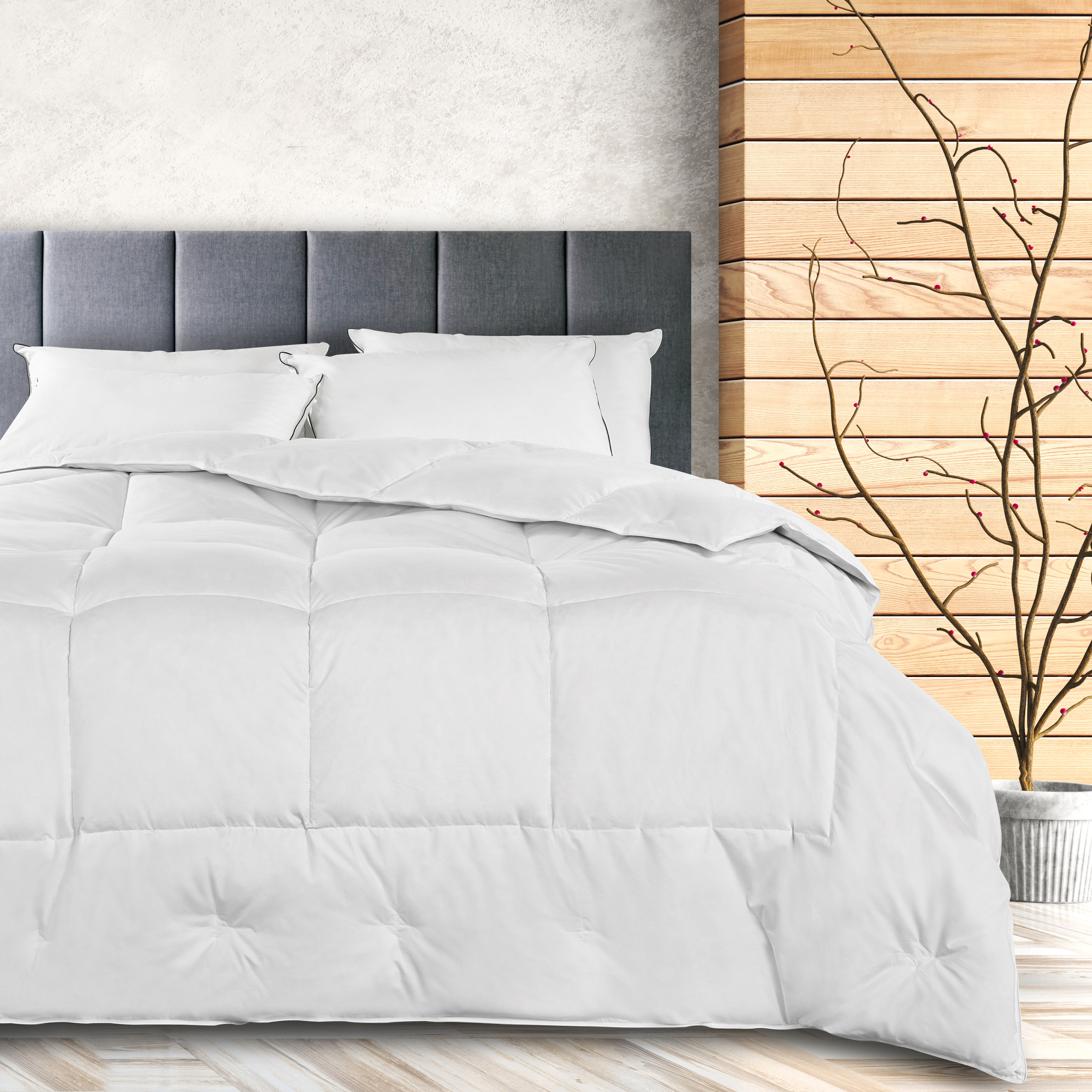 Image of AllerRest Down Comforter King | Pacific Coast Feather
