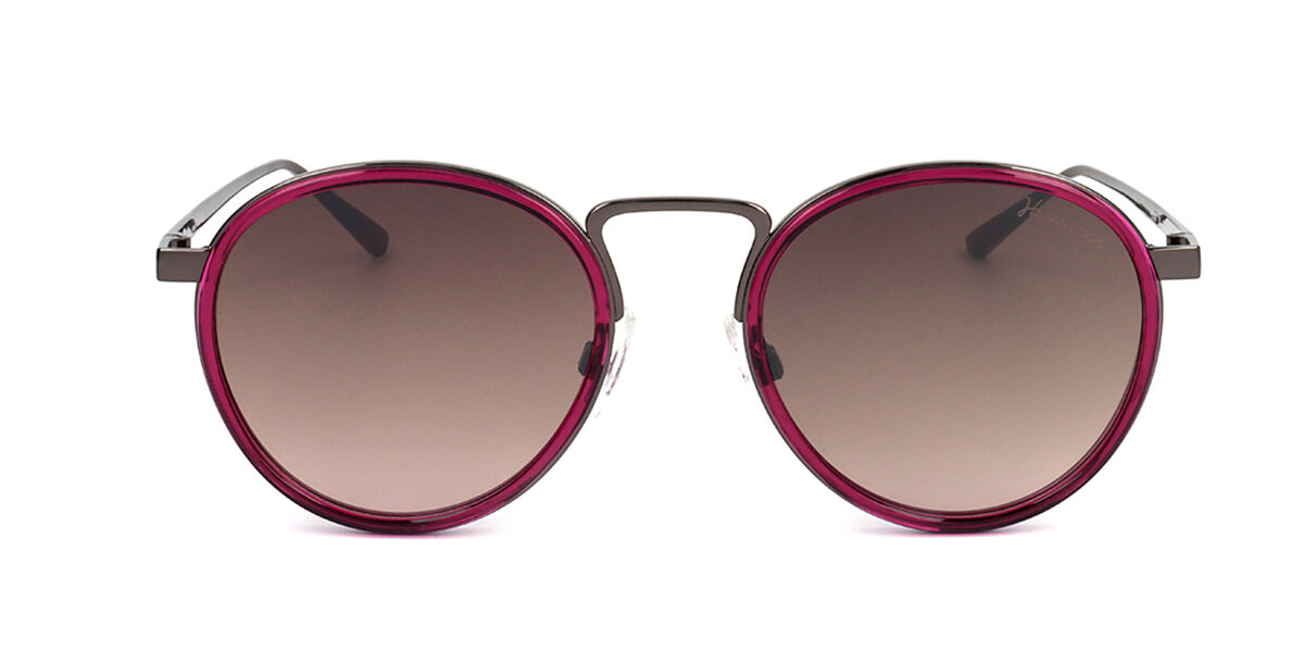 Image of Ana Hickmann HI3039 T01 Óculos de Sol Marrons Feminino PRT