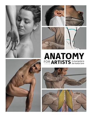 Image of Anatomy for Artists: A Visual Guide to the Human Form