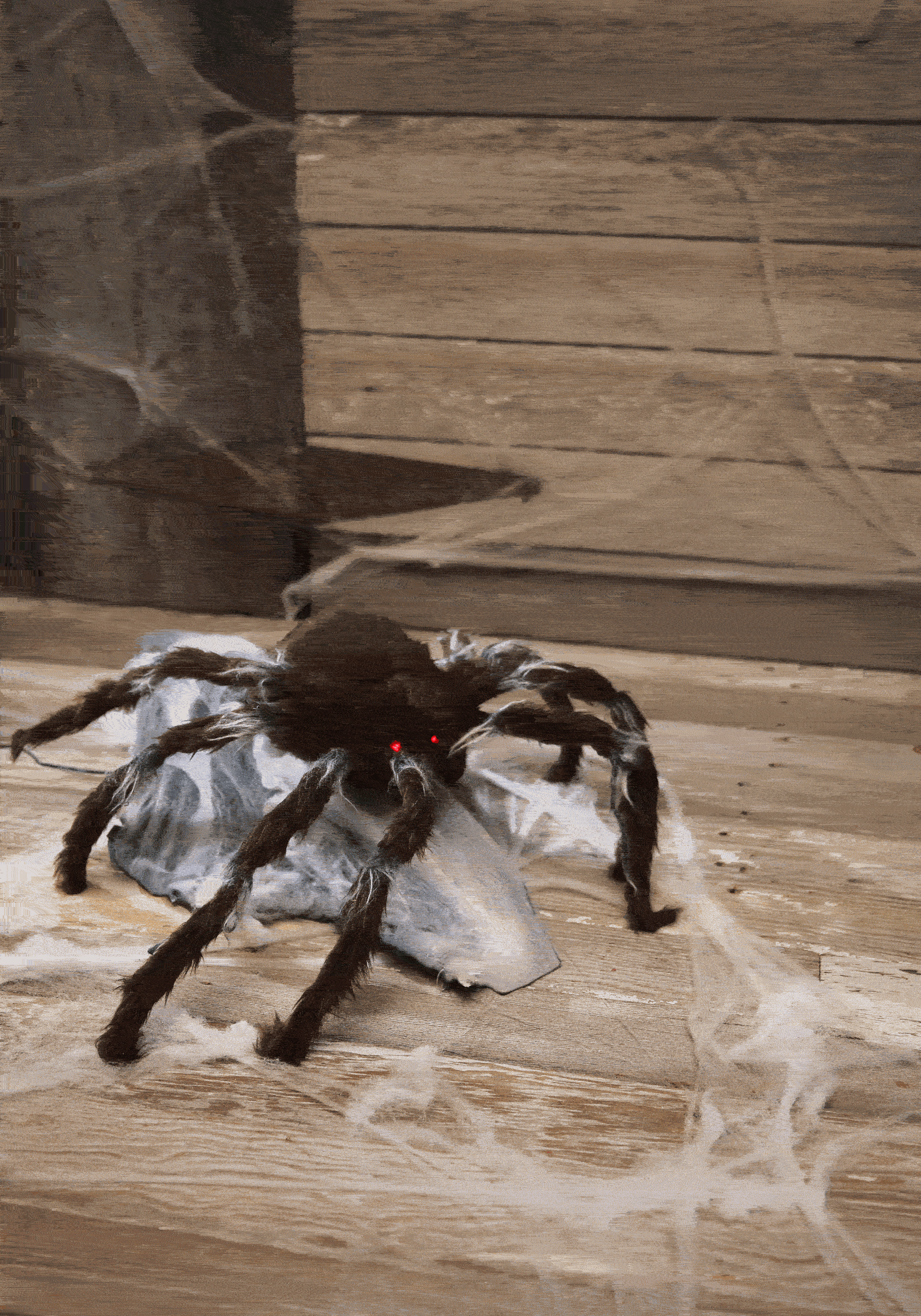 Image of Animated Halloween Black Jumping Spider Decoration ID MOTT56018-ST