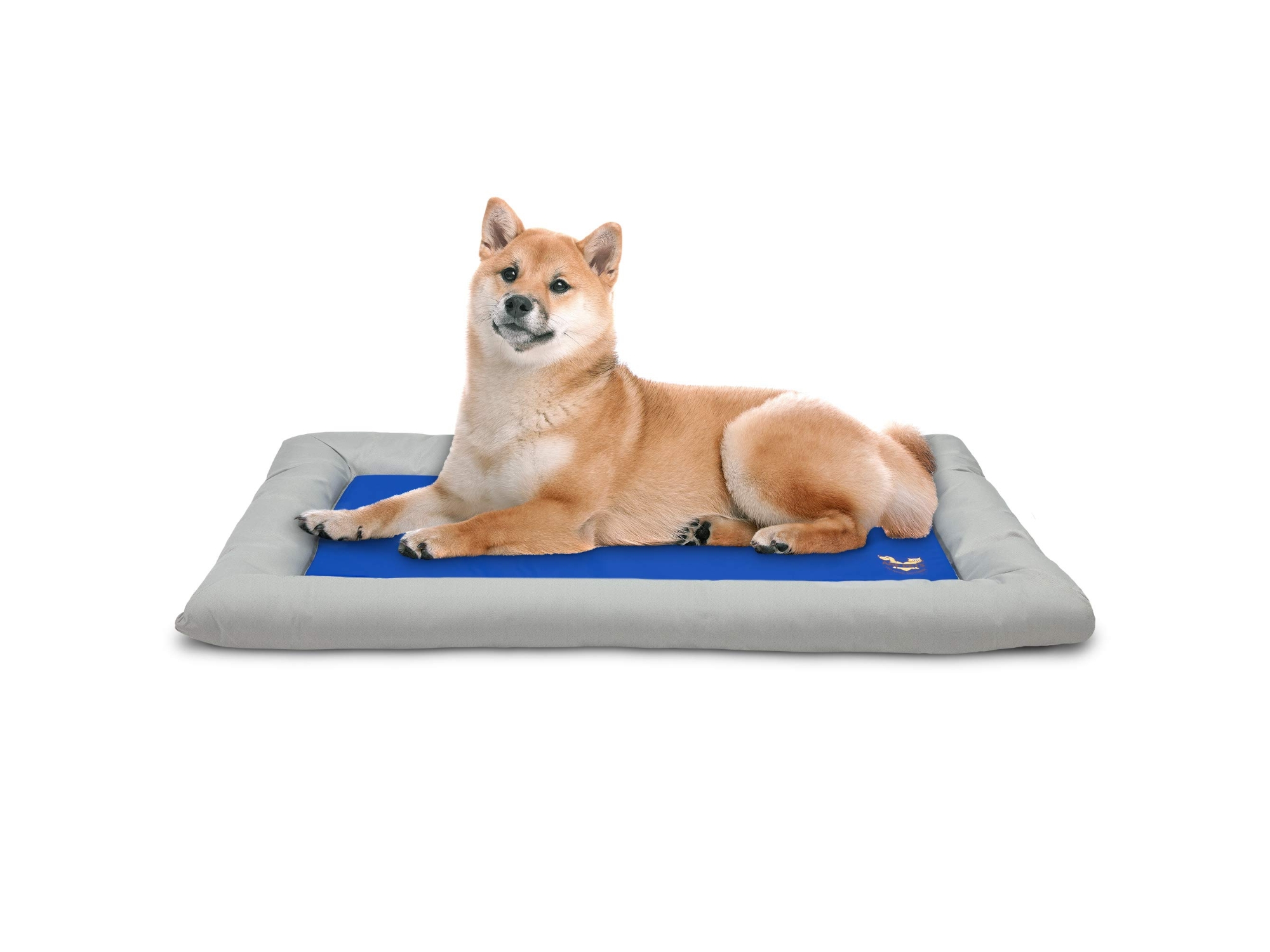 Image of Arf Pets Self Cooling Pet Bed Gel-based Portable Dog Mat Medium Blue ID 843812138369