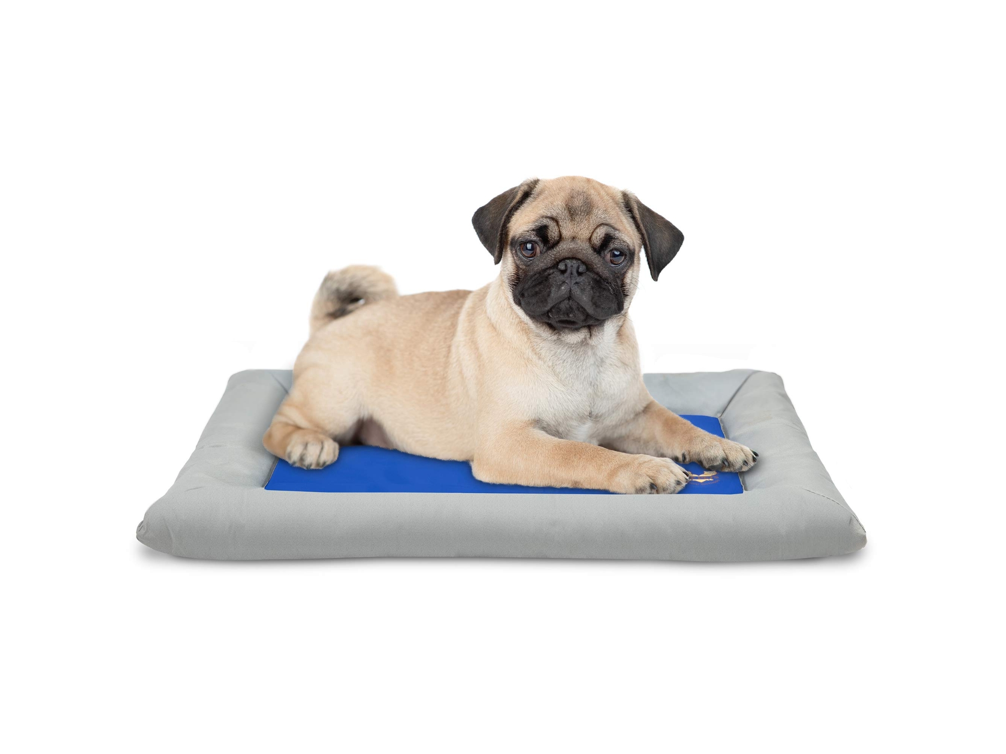 Image of Arf Pets Self Cooling Pet Bed Gel-based Portable Dog Mat Small Blue ID 843812138352