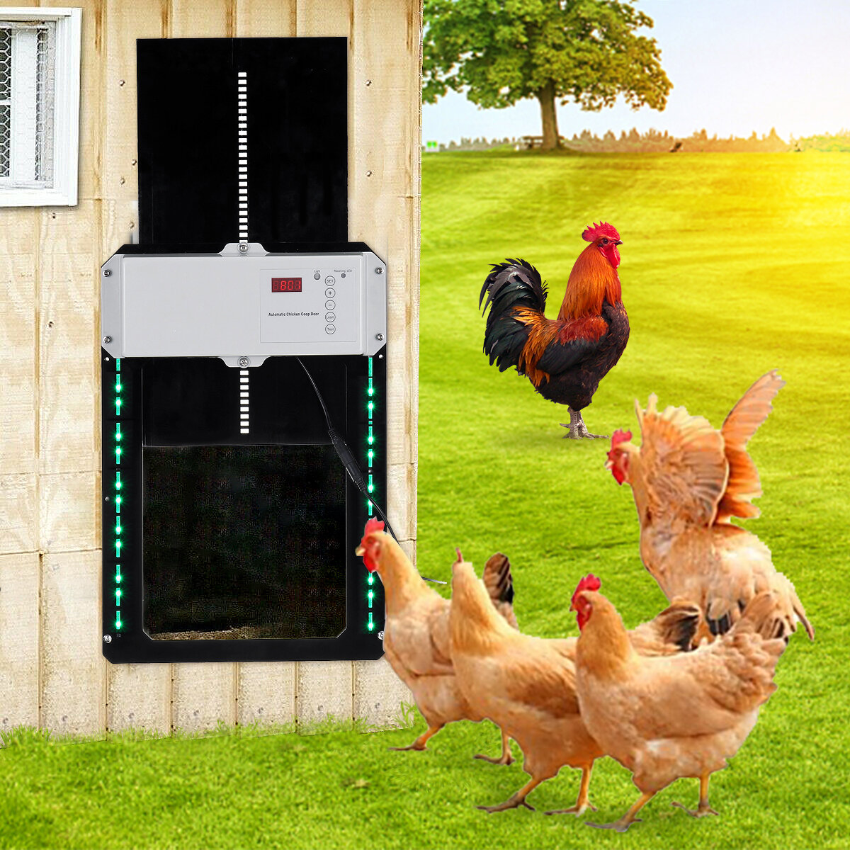 Image of Automatic Chicken Coop Door Light-sensitive Automatic Puppy House Door High Quality And Practical Chicken Pets Supplies