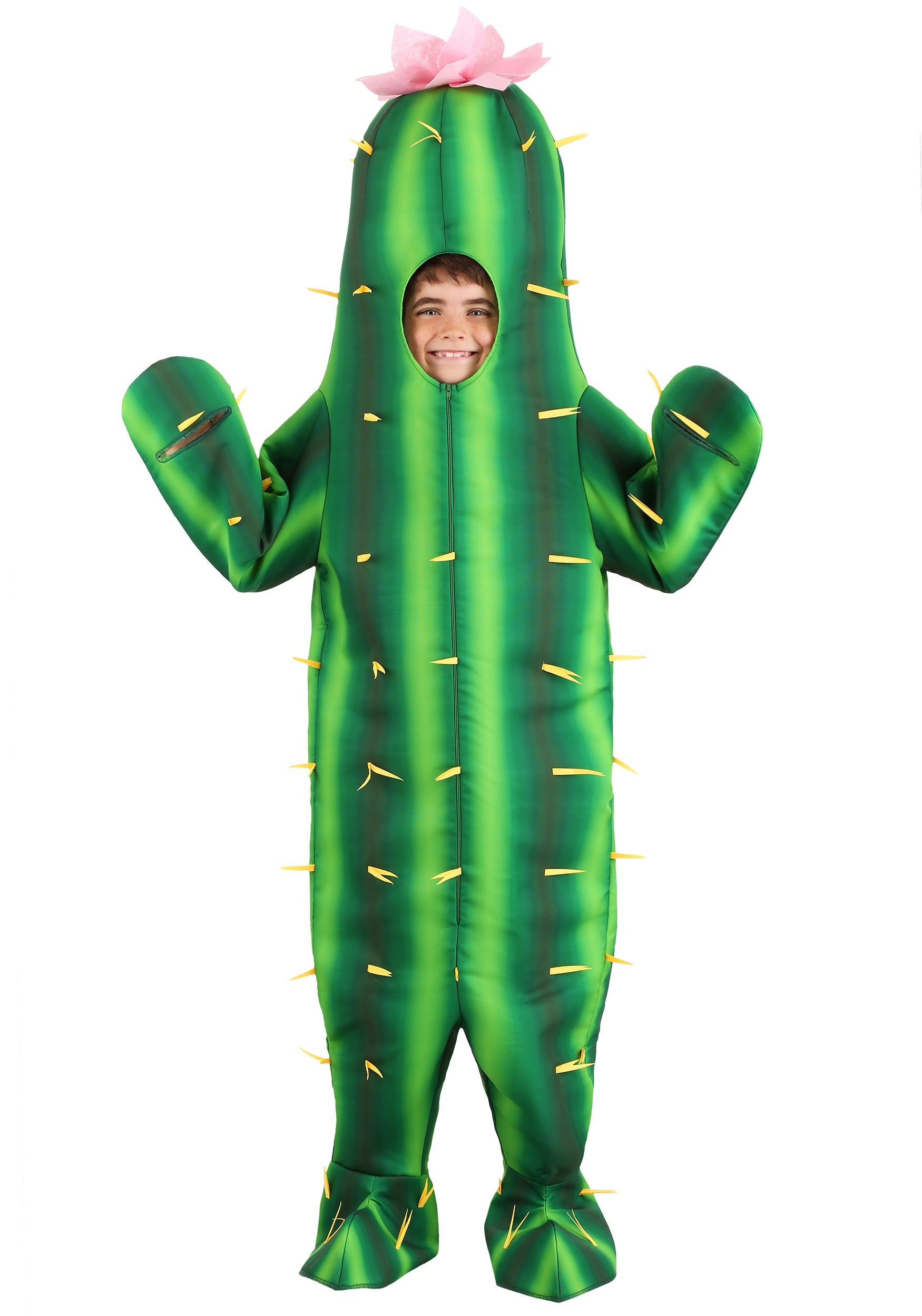 Image of Cactus Kids Costume ID FUN6698CH-M