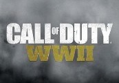 Image of Call of Duty: WWII RoW Steam CD Key TR