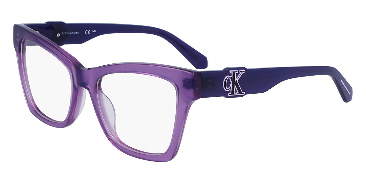 Image of Calvin Klein Jeans CKJ23646 500 Óculos de Grau Purple Feminino BRLPT