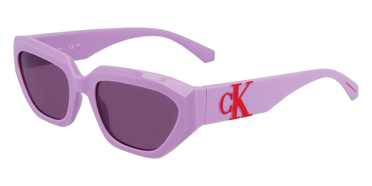 Image of Calvin Klein Jeans CKJ23652S 540 Óculos de Sol Purple Masculino PRT
