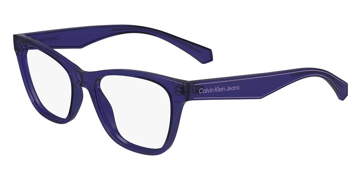 Image of Calvin Klein Jeans CKJ24304 500 Óculos de Grau Purple Feminino BRLPT