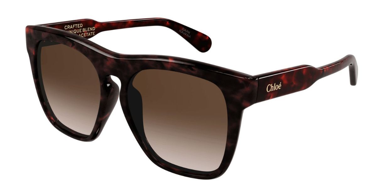 Image of Chloé CH0149SA Formato Asiático 002 Óculos de Sol Tortoiseshell Feminino BRLPT