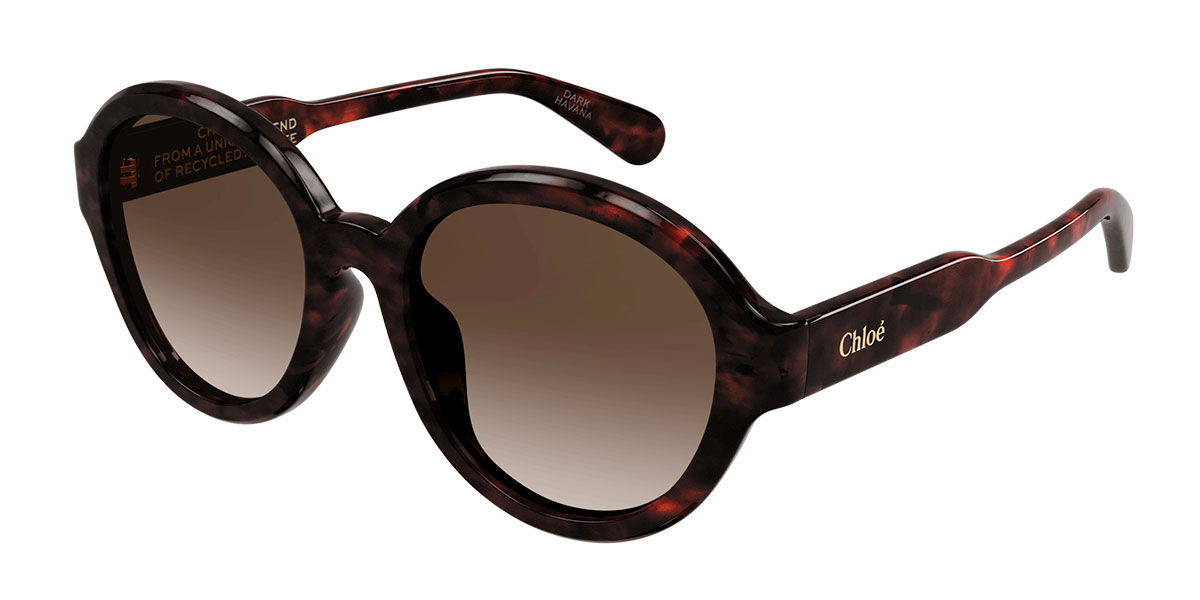 Image of Chloé CH0156SK Asian Fit 002 Óculos de Sol Tortoiseshell Feminino PRT
