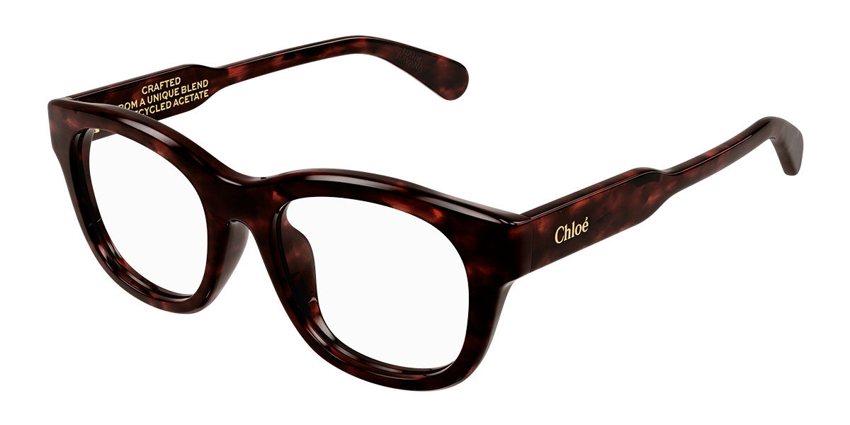 Image of Chloé CH0157OA Asian Fit 002 Óculos de Grau Tortoiseshell Feminino PRT