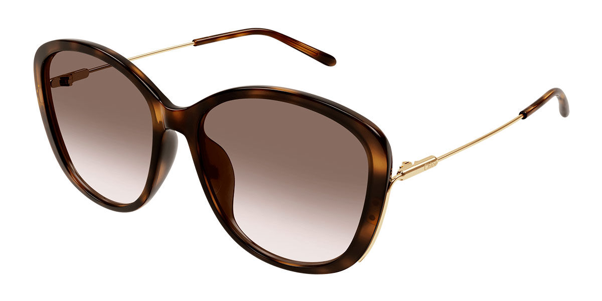 Image of Chloé CH0175SK Asian Fit 002 Óculos de Sol Tortoiseshell Feminino PRT