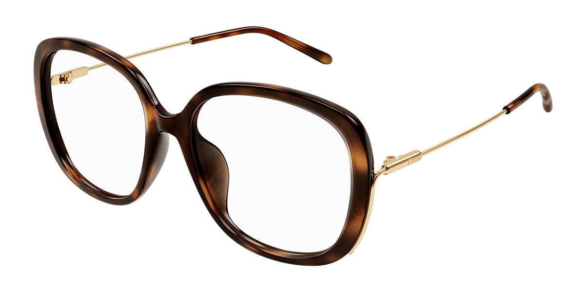 Image of Chloé CH0176OA Asian Fit 002 Óculos de Grau Tortoiseshell Feminino PRT