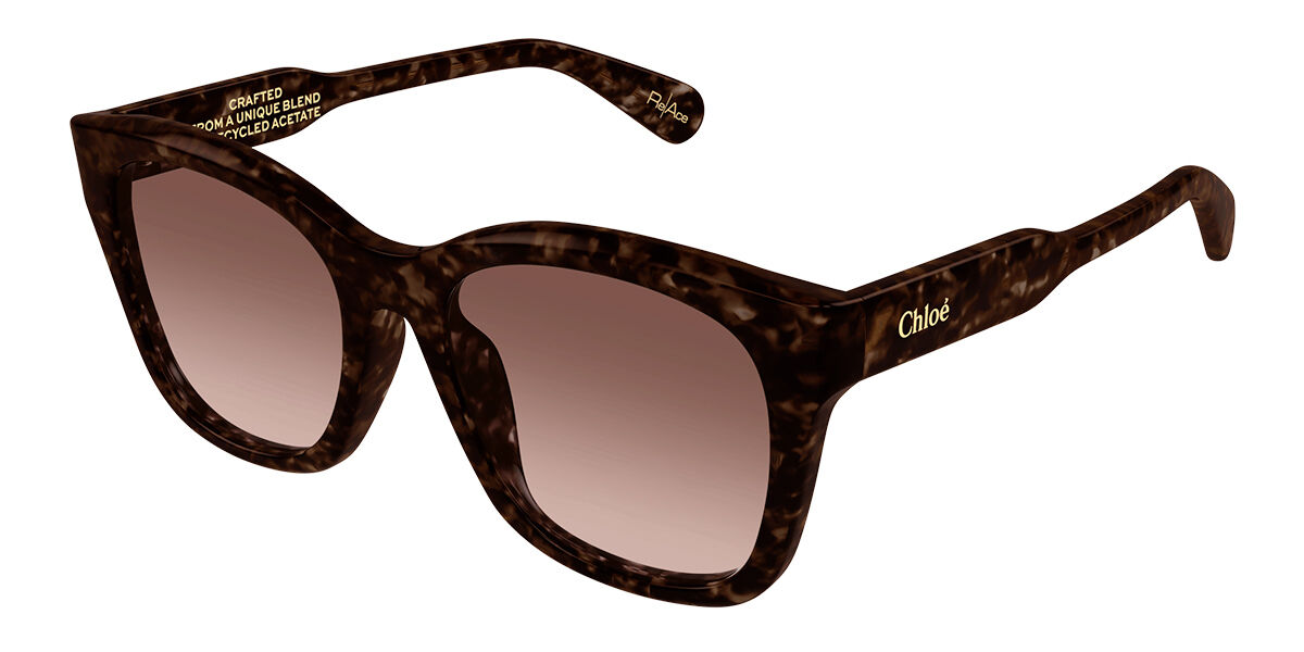 Image of Chloé CH0194SK Asian Fit 002 Óculos de Sol Tortoiseshell Feminino PRT