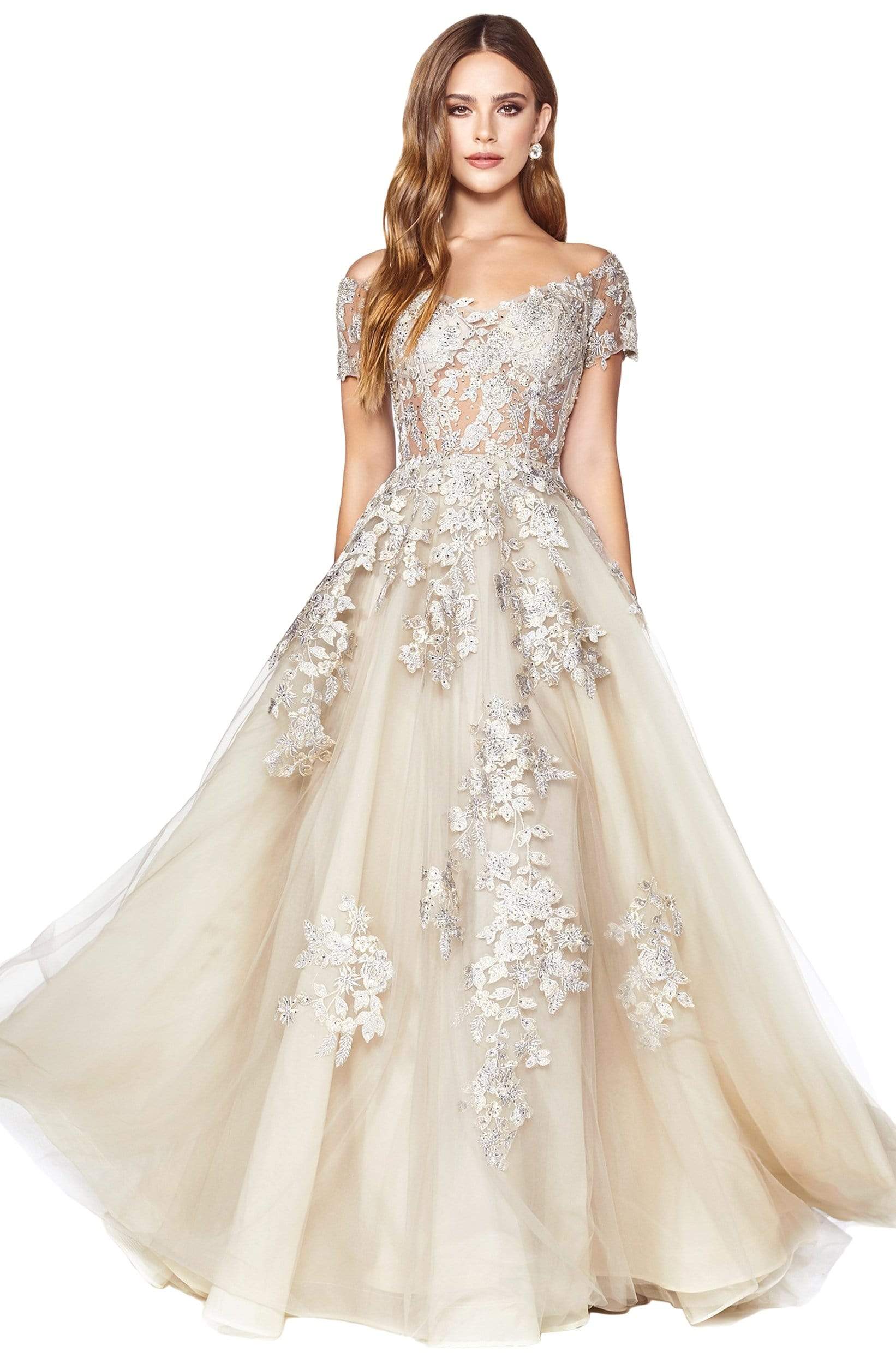 Image of Cinderella Divine - C20 Jeweled Applique Illusion A-Line Gown