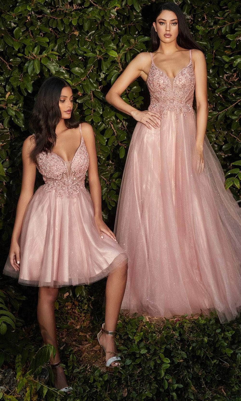 Image of Cinderella Divine CD0195 - Embellished Lace Tulle Prom Dress
