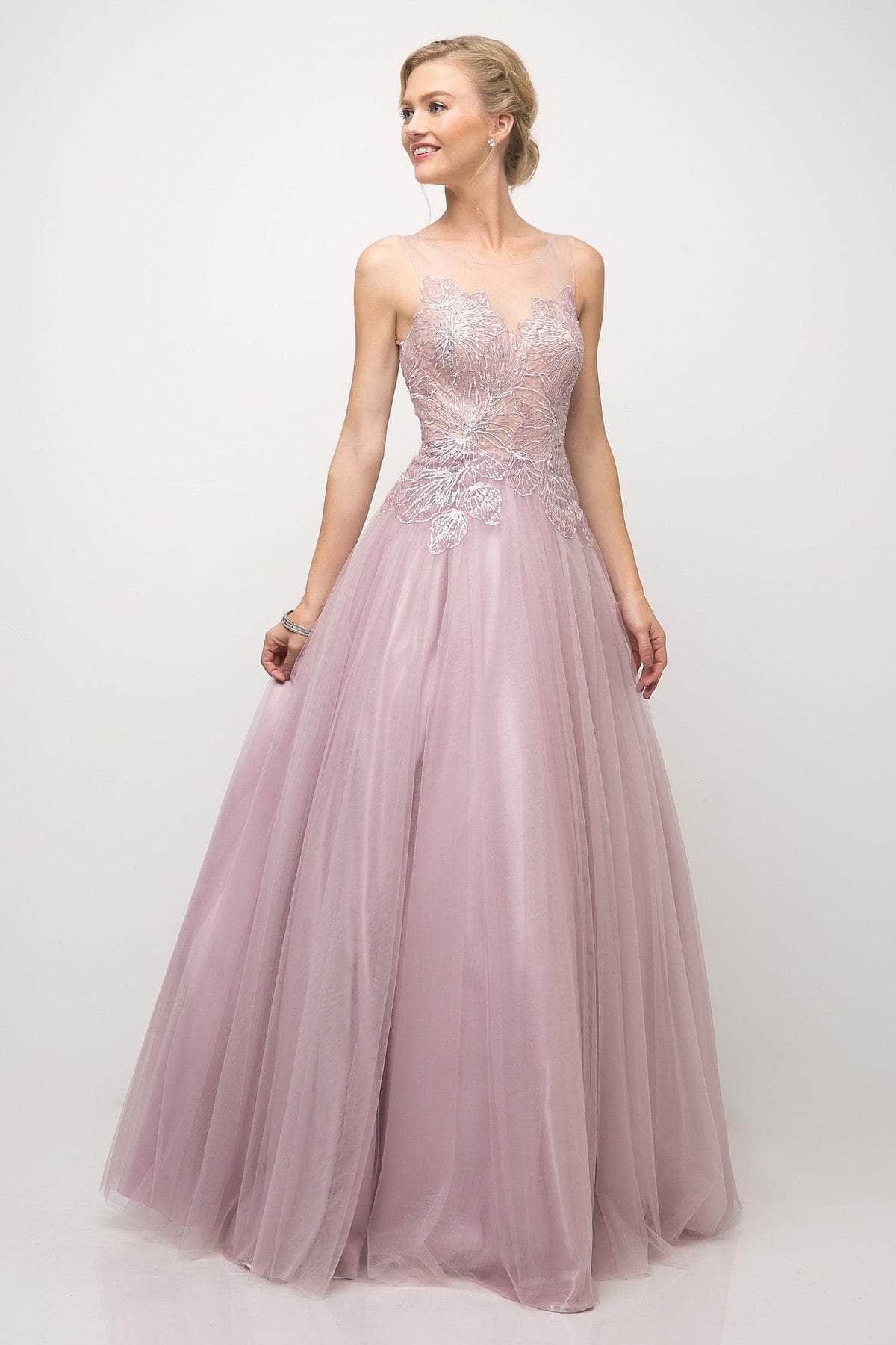 Image of Cinderella Divine - UE009 Illusion Neckline Lace Bodice Tulle Gown