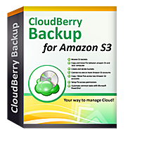 Image of CloudBerry Backup Server Edition - annual maintenance-300504753