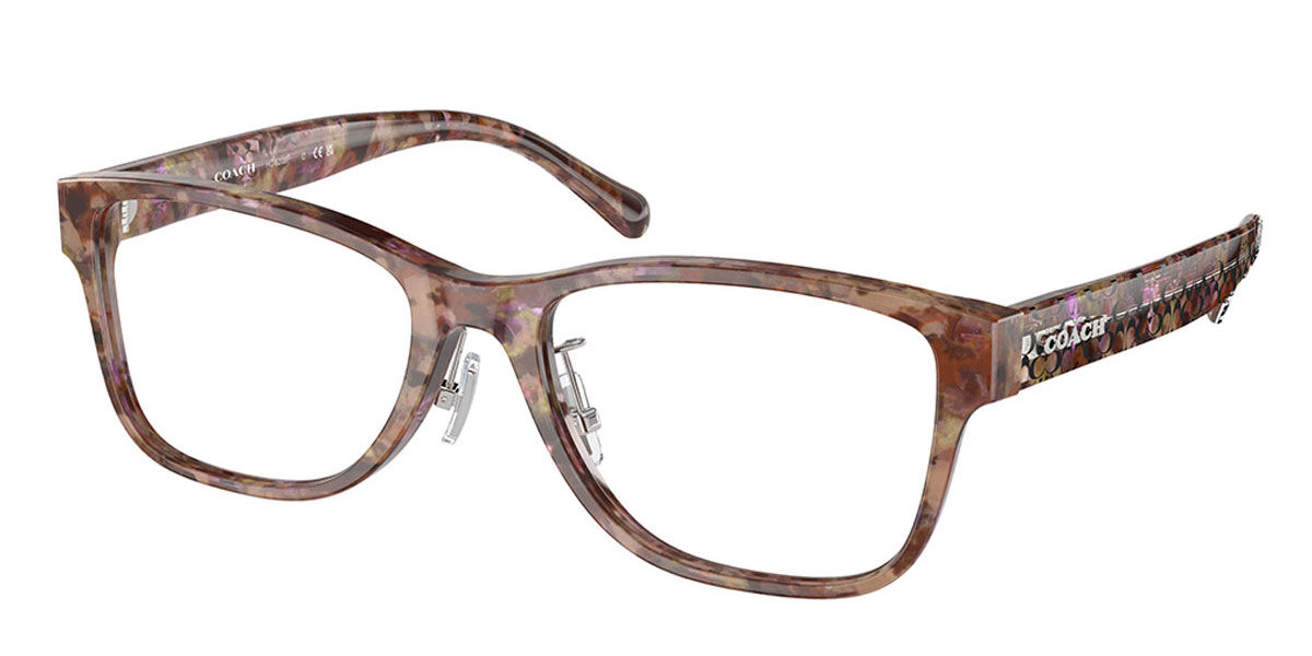 Image of Coach HC6208F Asian Fit 5739 Óculos de Grau Tortoiseshell Feminino PRT