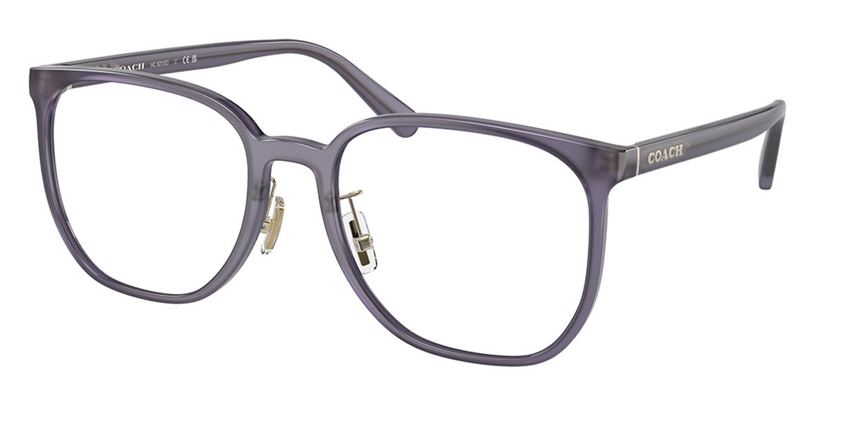 Image of Coach HC6215D Asian Fit 5753 Óculos de Grau Purple Feminino PRT