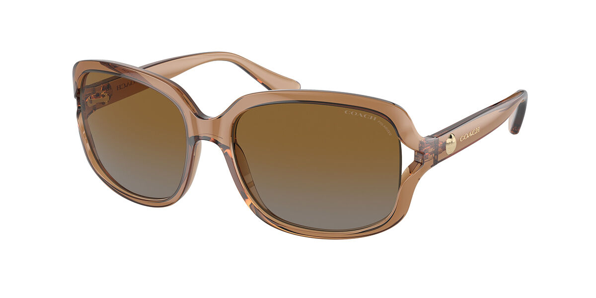 Image of Coach HC8169 L149 Polarized 5561T5 Óculos de Sol Marrons Feminino PRT