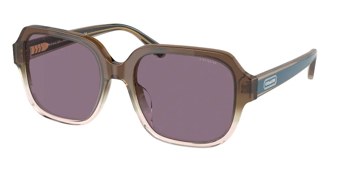 Image of Coach HC8335U C7989 56781A 53 Lunettes De Soleil Femme Marrons FR