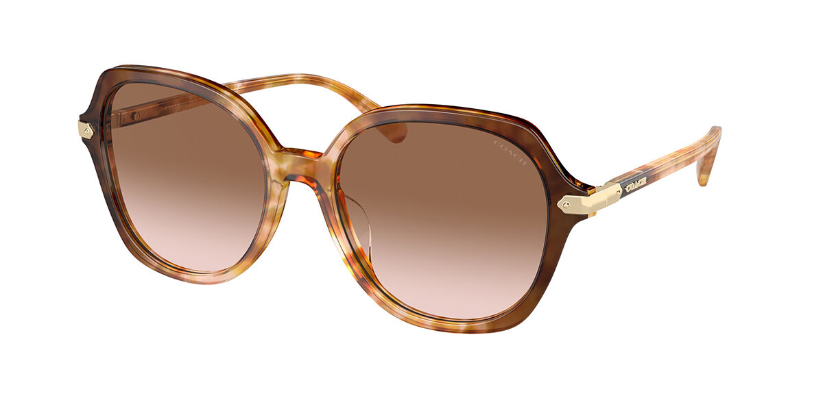 Image of Coach HC8377U CL925 57753C 55 Lunettes De Soleil Femme Tortoiseshell FR