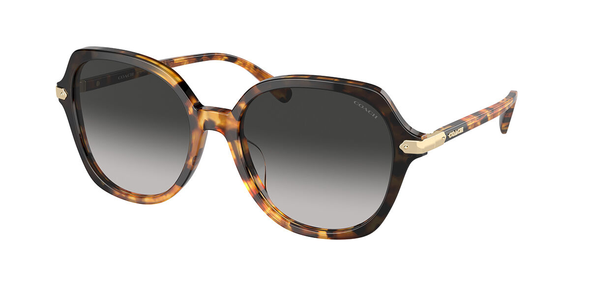 Image of Coach HC8377U CL925 577613 55 Lunettes De Soleil Femme Tortoiseshell FR