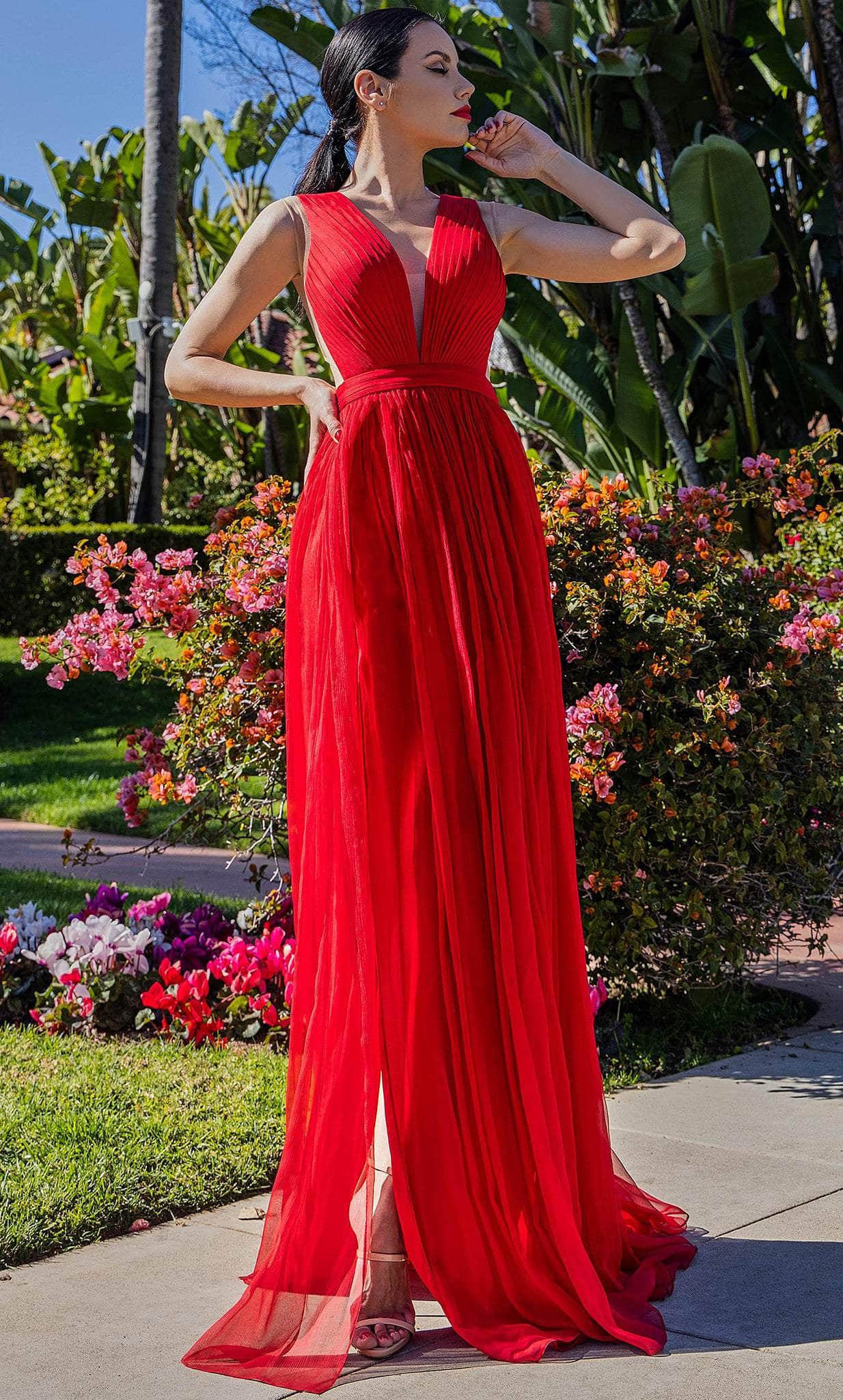 Image of Cristallini SKA1400 - Plisse A-Line Evening Gown