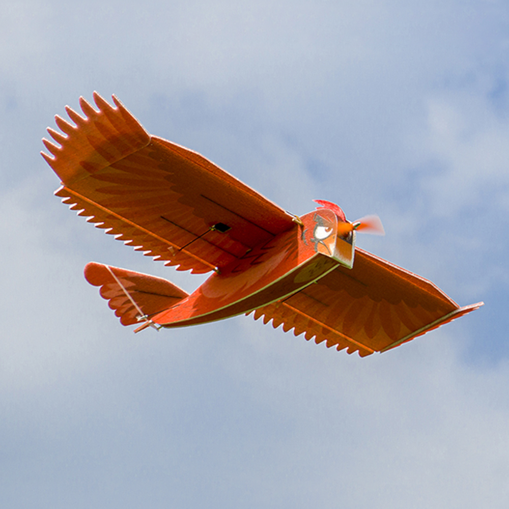 Image of Dancing Wings Hobby New Biomimetic Northern Cardinal 1170mm Wingspan EPP Foam Slow Flyer RC Airplane KIT/KIT+Motor