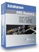 Image of DataNumen DWG Recovery-300592292