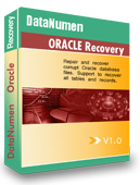 Image of DataNumen Oracle Recovery-300586608