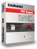 Image of DataNumen PDF Repair-300036739