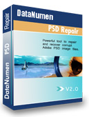 Image of DataNumen PSD Repair-300033937