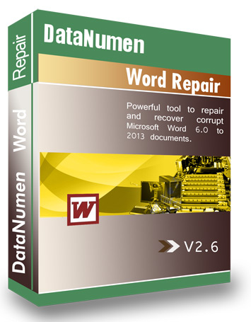 Image of DataNumen Word Repair-210431