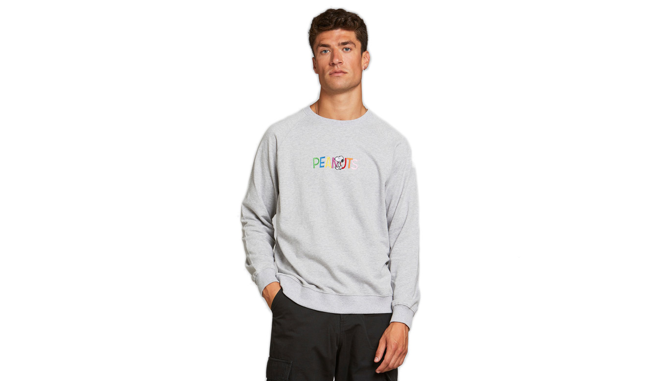 Image of Dedicated Sweatshirt Malmoe Peanuts Logo Grey Melange HU