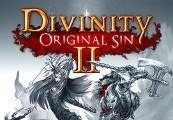 Image of Divinity: Original Sin 2 AR Steam Altergift TR