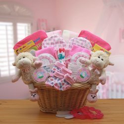 Image of Double Delight Twins New Babies Pink Gift Basket