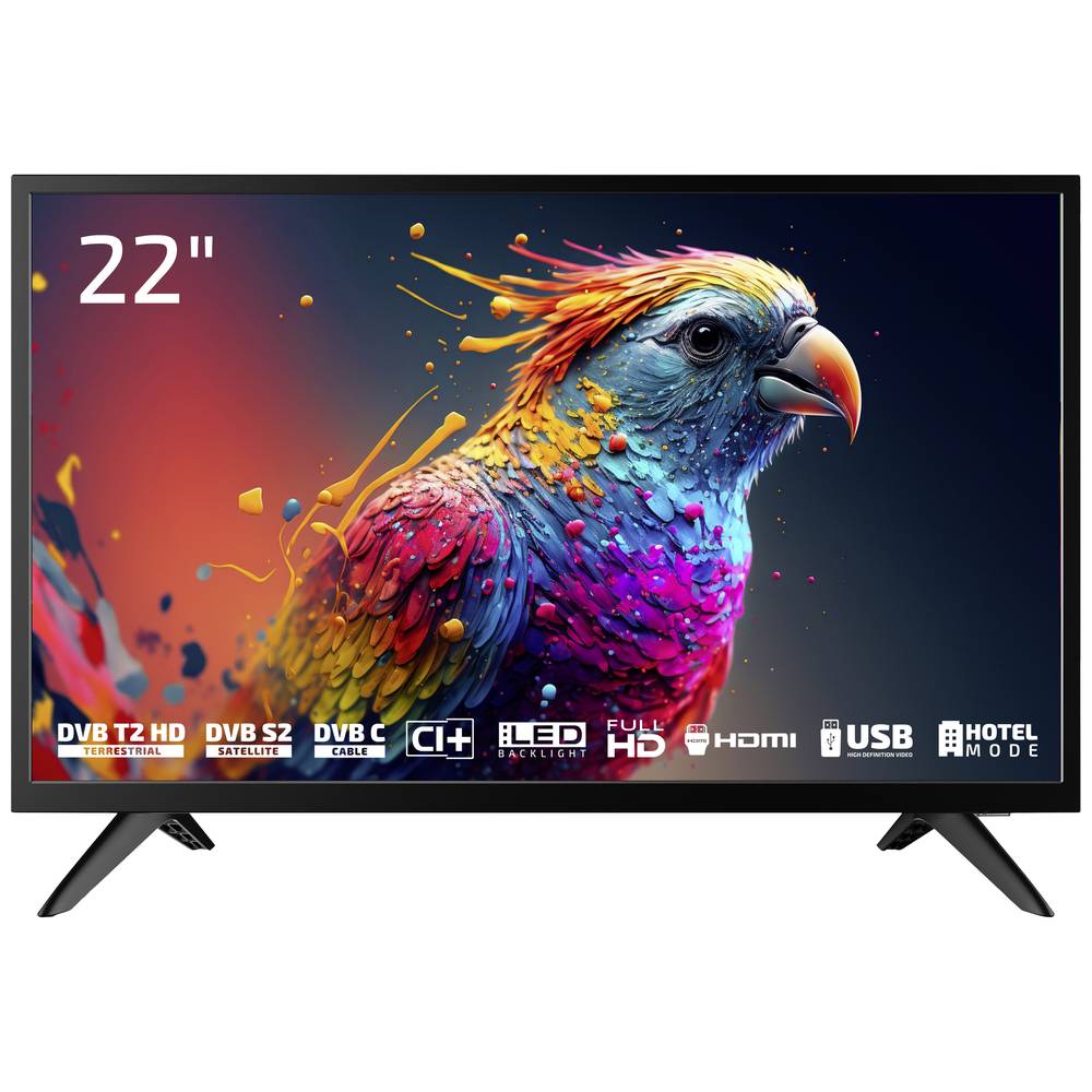 Image of Dyon Enter 22 Pro X2 LED TV 55 cm 22 inch EEC E (A - G) CI+ DVB-C DVB-S2 DVB-T2 Full HD Black