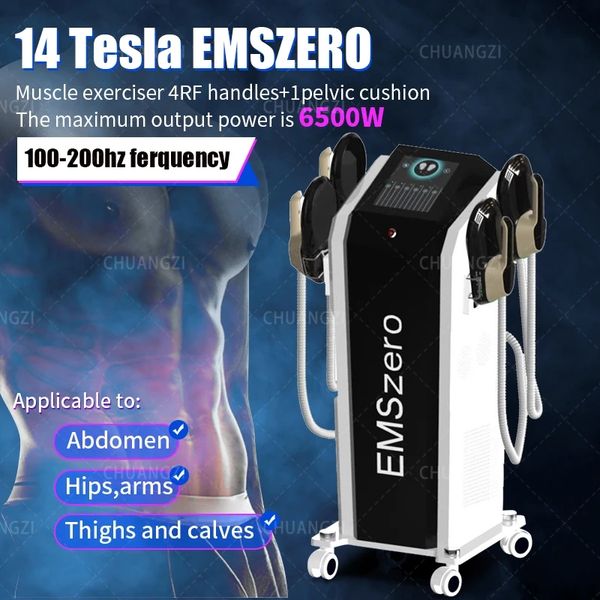 Image of ENH 856040489 rf equipment 2023 dls-emslim neo rf machine 13 tesla hi-emt machine emszero 5000w with 4 rf handles and pelvic stimulation pad options