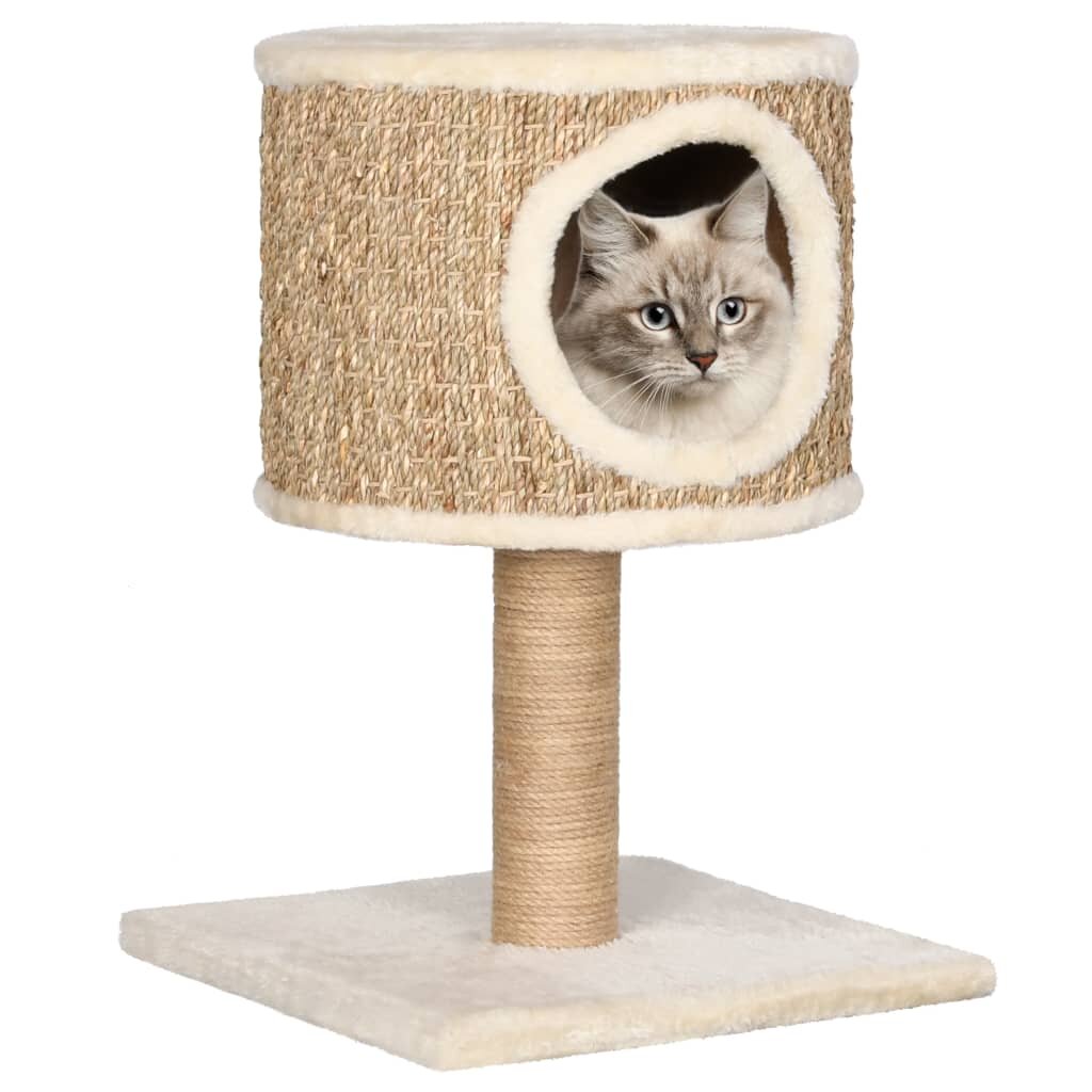 Image of [EU Direct] vidaXL 170972 Cat Tree with Condo and Scratching Post 52 cm Seagrasst Pet Supplies Cat Puppy Home Bedpan