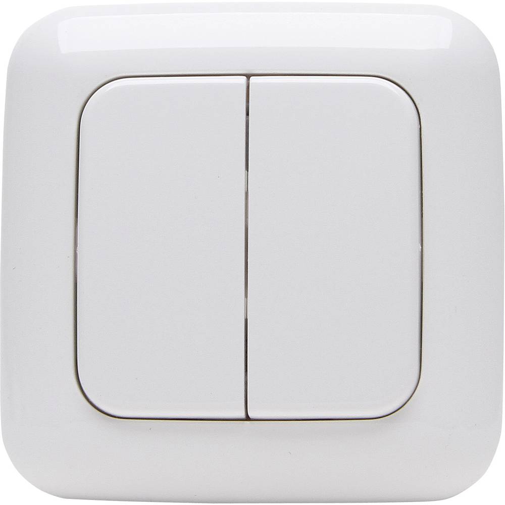 Image of Free Control 30 Kopp Free Control 2-channel Wall-mount switch Alpine white